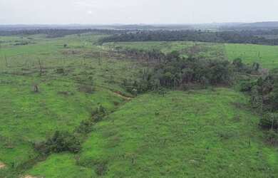 Imagem 5: Vende fazenda no Pará. Imóvel novo