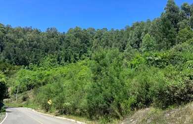 Imagem 5: Sitio - Bairro Linha Ávila