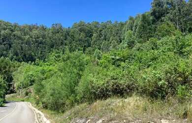 Imagem 6: Sitio - Bairro Linha Ávila