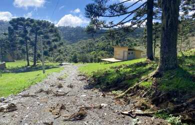 Imagem 7: Urubici- Chácara. 20.000m² de Área