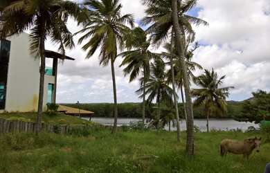 Imagem 5: gt Porto Belo / lote frente Rio