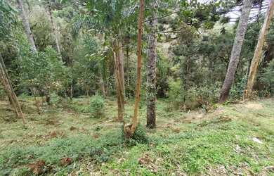 Imagem 6: Terreno a venda. 5.340m² de Área