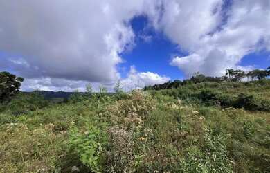 Imagem 13: Terreno de 32.142,60m², localizado na linha Tapera em Gramado