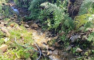 Imagem 4: Urubici- Chácara. 20.000m² de Área