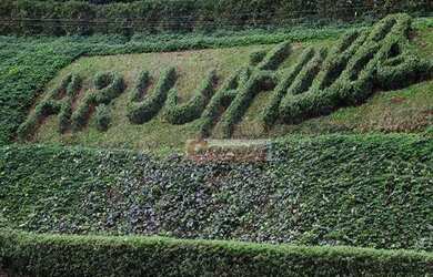 Imagem 3: Casa com 6 dormitórios, 950 m² - venda por R$ 7.000.000,00 ou aluguel...