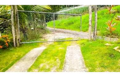 Imagem: A fazenda possui 419m² de Área e está localizado em Campo