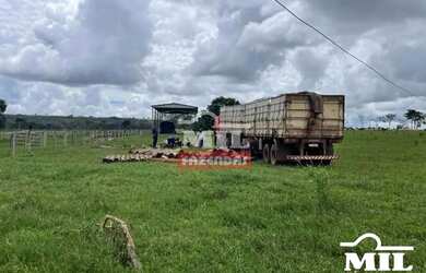 Imagem 3: Fazenda 90 Alqueires 440 Hectares Caiaponia - GO