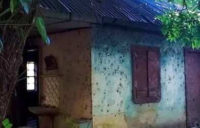 Imagem 2: Sítio / Chácara para Venda em Nova Petrópolis, São José do Caí