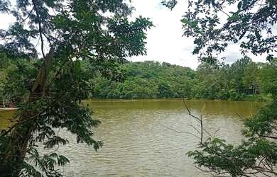 Imagem: A chácara possui 1650m² de Área, Churrasqueira, Área de