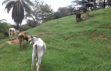Imagem: O terreno está localizado em Jaboticatubas, MG à venda por