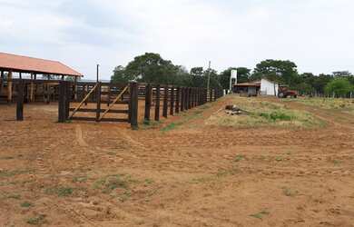 Imagem 4: FAZENDA 256 ALQUEIRES. 