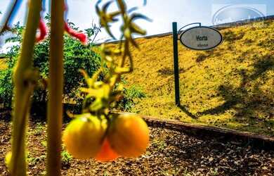 Imagem 9: Terreno à venda, 715 m² por R$ 787.094,00 - Condomínio Residencial...