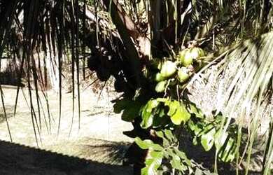 Imagem 12: Casa para Venda em Saquarema, Porto Da Roça, 4 dormitórios, 3 suítes,...