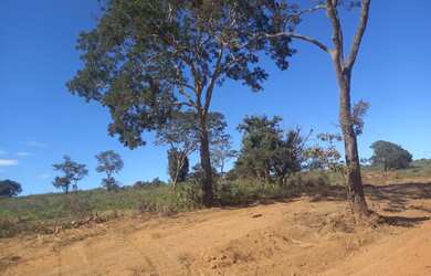 Imagem 13: FAZENDA 256 ALQUEIRES. 