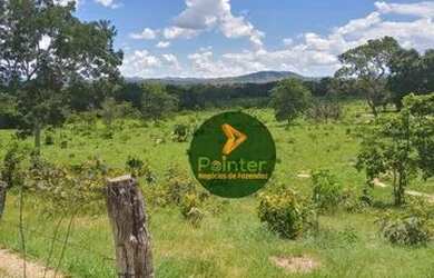Imagem 8: Fazenda com 1 dormitório à venda, 7937600 m² por R$ 16.000.000,00 -...