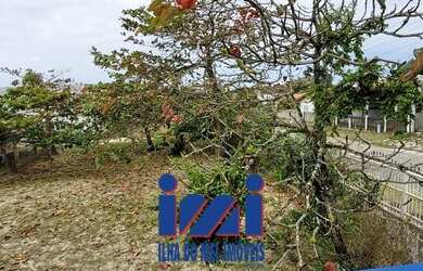 Imagem 4: Lotes para investidores a venda Pontal do Paraná