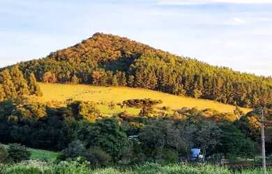 Imagem 5: Terreno para Venda em Nova Petrópolis, Pinhal Alto