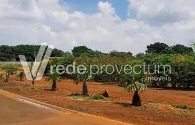 Imagem 2: terreno - Betel - Paulínia