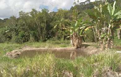 Imagem 16: 1 hectare pisciciultura abandonada 277 mil reais 2 casas