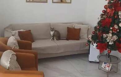 Imagem: A casa possui 3 Dormitórios, 1 Banheiro, 1 Vaga na garagem