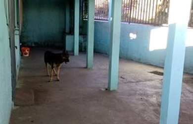 Imagem: A casa possui 4 Dormitórios, 5 Banheiros, 2 Vagas na garagem