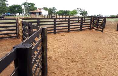 Imagem 6: FAZENDA 256 ALQUEIRES. 