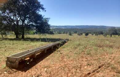 Imagem 15: FAZENDA 256 ALQUEIRES. 