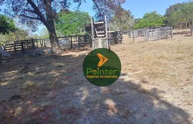 Imagem 13: Fazenda com 1 dormitório à venda, 7937600 m² por R$ 16.000.000,00 -...