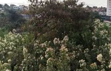 Imagem 9: Sobrado com 3Q à venda, 145 m² por R$ 420.000 - Jardim Novo Mundo - Goiânia/GO