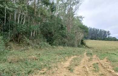 Imagem 6: Felixlândia - Fazenda de 5.013 hectares - R$120.000.000,00