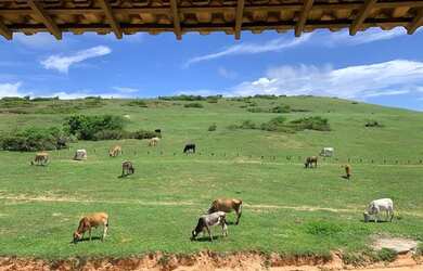 Imagem: A casa possui 3 Dormitórios, 1 Banheiro, 429m² de Área e