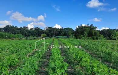 Imagem: A chácara possui 42.700m² de Área e está localizado em