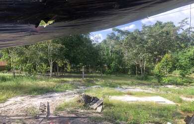 Imagem 2: Vendo terreno. 