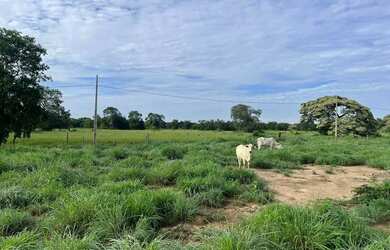 Imagem 10: FAZENDA EM BURITIZEIRO MG NA BEIRA DO RIO SÃO FRANCISCO FORMADA E COM...