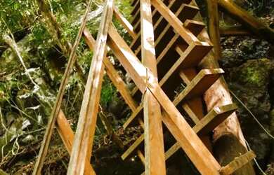 Imagem 9: Sitio - Bairro Linha 28. 160m² de Área