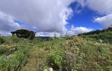Imagem 14: Terreno de 32.142,60m², localizado na linha Tapera em Gramado