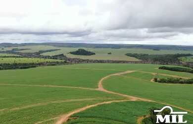 Imagem: A fazenda possui 1.008m² de Área e está localizado em 31