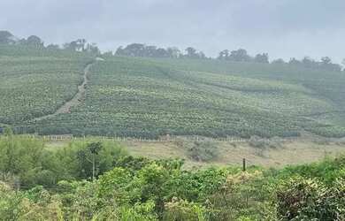 Imagem 8: Linda fazenda para venda em Bom Sucesso MG