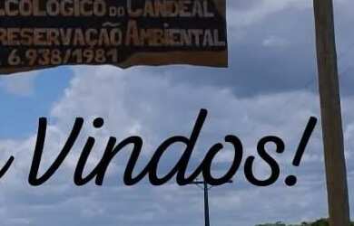 Imagem 14: Casa Grande com terreno e árvores frutíferas