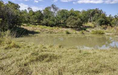 Imagem 10: Fazenda/Sítio/Chácara para venda possui 135 metros quadrados em Setor...