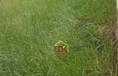 Imagem: O terreno possui 740m² de Área e está localizado em Vila