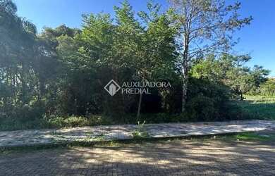 Imagem 4: Terreno à Venda em Nova Petrópolis