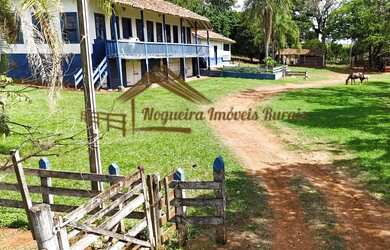 Imagem: A fazenda possui 1m² de Área e está localizado em Laranjal