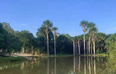 Imagem: O terreno possui 1242m² de Área e está localizado em Centro