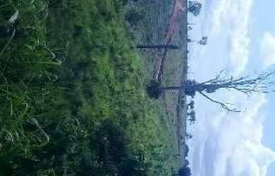 Imagem: A fazenda possui 50m² de Área e está localizado em Uruará