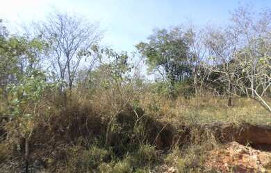 Imagem 4: Lote para venda possui 300 metros quadrados em Cachoeira - Betim - MG