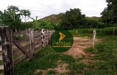 Imagem 5: Fazenda com 1 dormitório à venda, 7937600 m² por R$ 16.000.000,00 -...