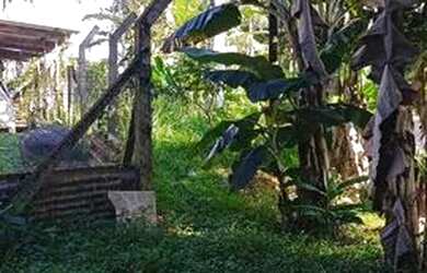 Imagem 2: Torro terreno em Antonina