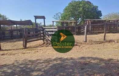 Imagem 4: Fazenda com 1 dormitório à venda, 7937600 m² por R$ 16.000.000,00 -...