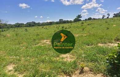 Imagem 6: Fazenda com 1 dormitório à venda, 7937600 m² por R$ 16.000.000,00 -...